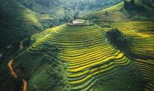 2019一年级期末作文：观德天瀑布_300字