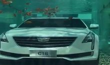 永远忘不了那堂电脑课_450字