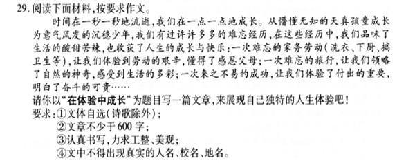 2012年考试组成是抓住文章的细节_2000字