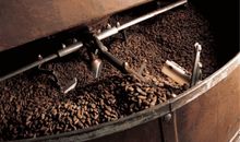 这个冬天不算冷_550字