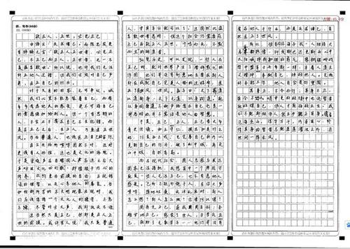 2011年高中入学考试应指示：建立主要目的，奠定图案，并将第一尾三_3000字