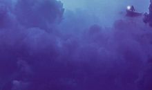 小花种的愿望_450字