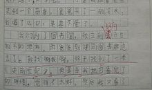 初二状物作文：窗外_550字