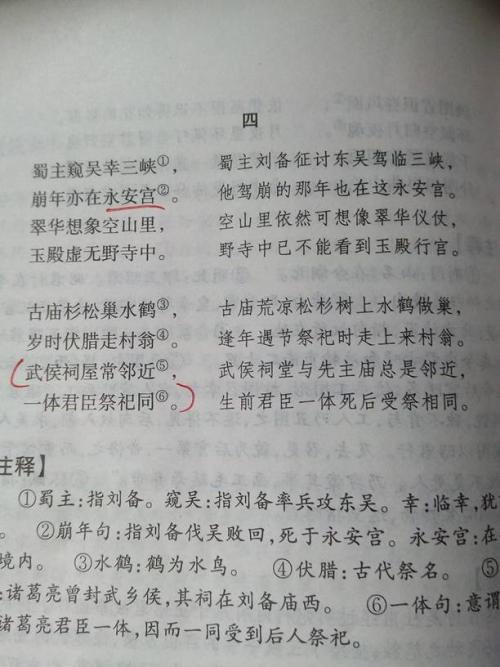 青年很好说：青年好句是_650字
