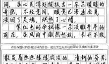 中考作文高分完全解密之五：情感_3000字
