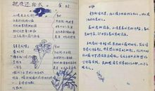 青春好段好句：关于青春的好句好段_700字