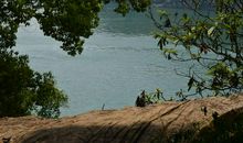 描写家乡风景的排比句