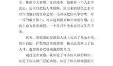 初中生感恩节作文1000字：让感恩走进心灵_1200字