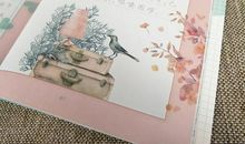 青春好段好句：关于青春好句好段_550字