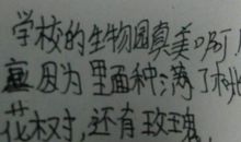 描写景物的排比句子_1200字