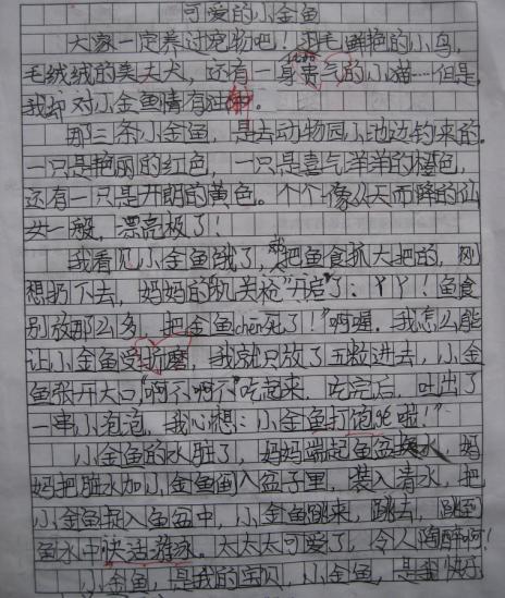观察组成 - 小金鱼_550字