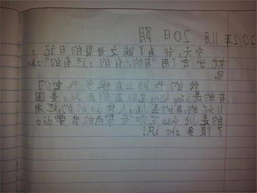 一年级日记：失去了鲍布尔_100字