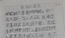 观察日记：乌龟_400字
