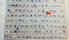 一年级日记：讨厌的广告_40字