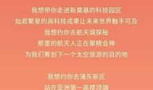 《我爱你，中国》观后感_900字