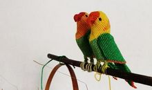 调皮可爱的小鹦鹉_300字