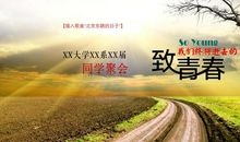 我们的青春就该这样度过_750字