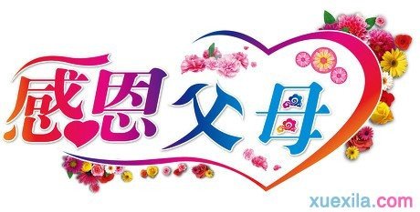 老师，父母和候选人_800字
