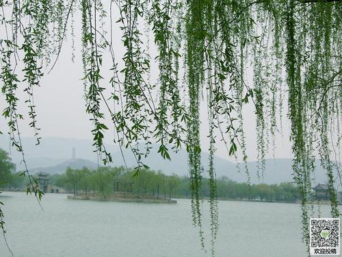 四季的家乡_500字
