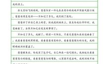 初中生感恩节作文500字：感恩21世纪_600字