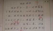 二年级写人作文：我的弟弟_250字