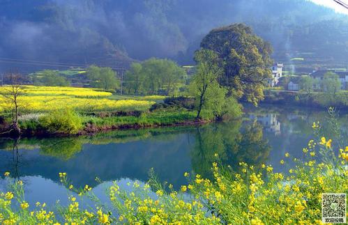春天风景_350字