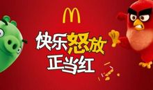 小鸟的自诉_550字