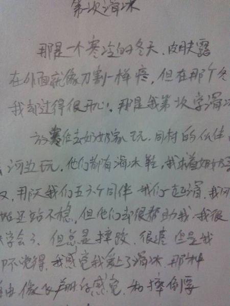 我学会了滑冰_450字