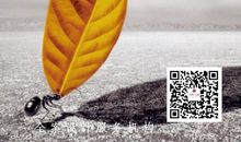 拼搏正时候_750字