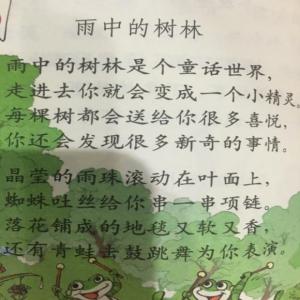 雨中的树林_150字