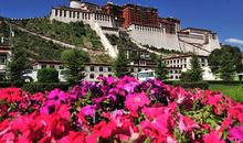 美丽的太白岩_300字