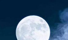 月亮的朋友_100字