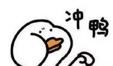 为梦拼搏，为爱陪伴_900字