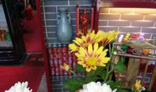 一年级日记：参观菊花展_150字