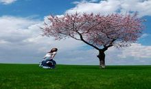 我的鸟儿在春天的约定_800字