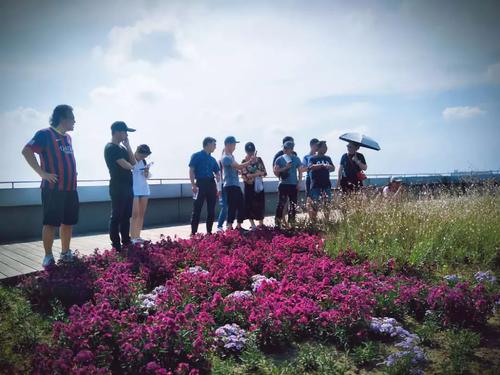 在教学建设中，整洁的郎郎书声音，没有阶级有不同的风格，但它是如此刺激，晨雾就像一个明亮的纱线，而且雄伟的教学建筑隐藏着。在中间，整个校园黎明都是如此温暖而美丽，金色的太阳穿过教室后的玻璃窗，在干燥的杉木的教学建设后，它很明亮！