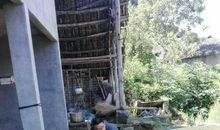 妈妈把爱撒在了路上_450字