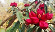 动人的春天_350字