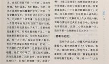 青春好段好句：关于青春的好句好段_1200字