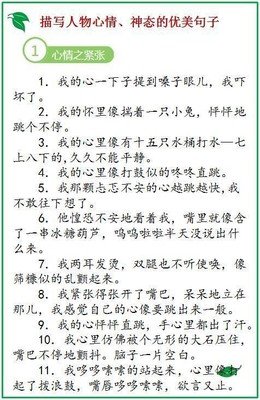 青年美国美国句子提取