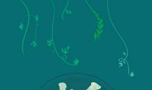 夹绿豆比赛_800字