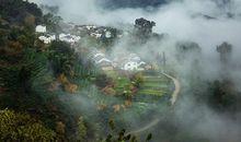 路队变形记_500字