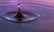 一滴水、一点爱_700字