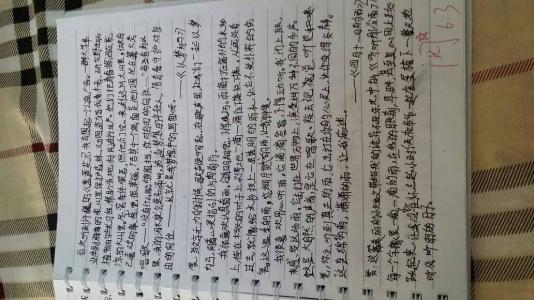 描述警察的句子_700字