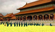 满城尽带黄金甲