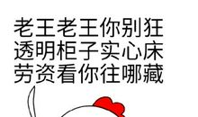 记忆中的老王_600字