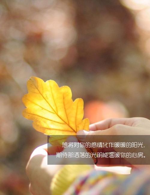 期待着一个明亮的一天_900字