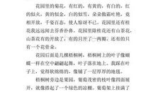 [PK赛]关于秋天的作文：秋天_900字