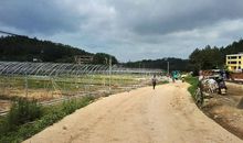 [PK赛]关于中国梦的作文：追梦_600字