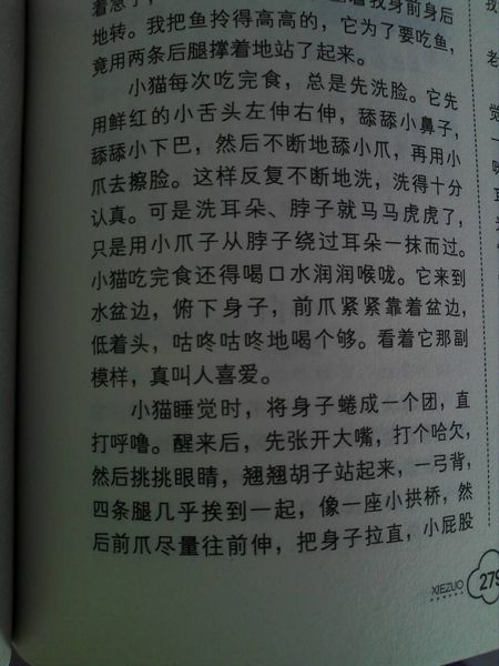 六年级：宝寨